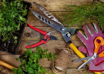 Garden Tools & Equipment Disposal