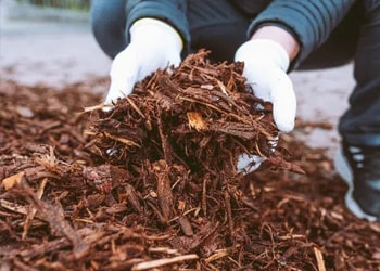 Green Waste & Soil Removal